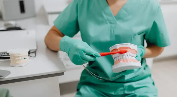 Dentysta pokazuje, jak myć zęby szczoteczką soniczną, używając modelu szczęki.