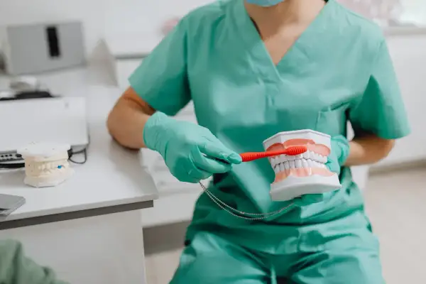 Dentysta pokazuje, jak myć zęby szczoteczką soniczną, używając modelu szczęki.
